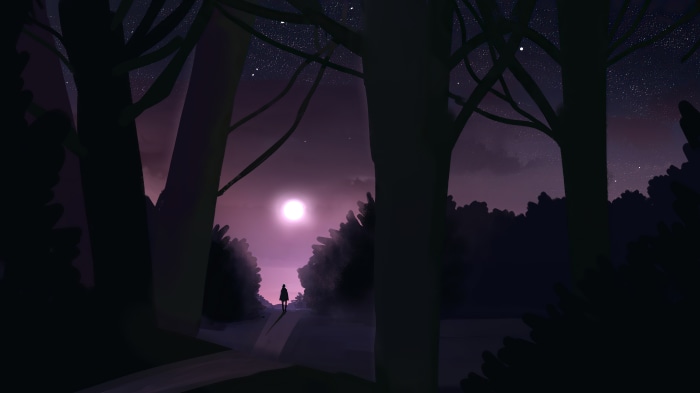 Person walking on a path in a forest at night