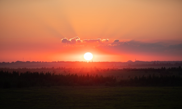 Sunset over a forest landscape
