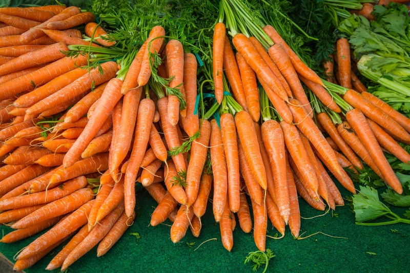 Many Carrots with Green Tops