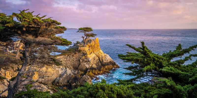 Lone Cypress Tree on a Rocky Coast in Pebble Beach, California