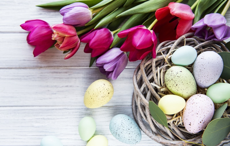 Easter Tulips and Eggs in Wicker Basket