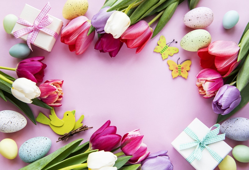 Easter Tulips, Gifts, and Eggs on Pink Background