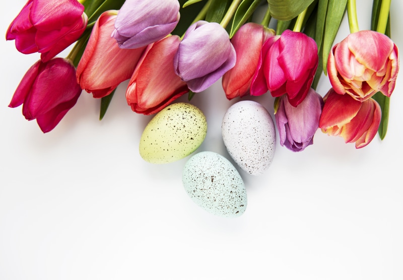 Easter Tulips and Eggs Template