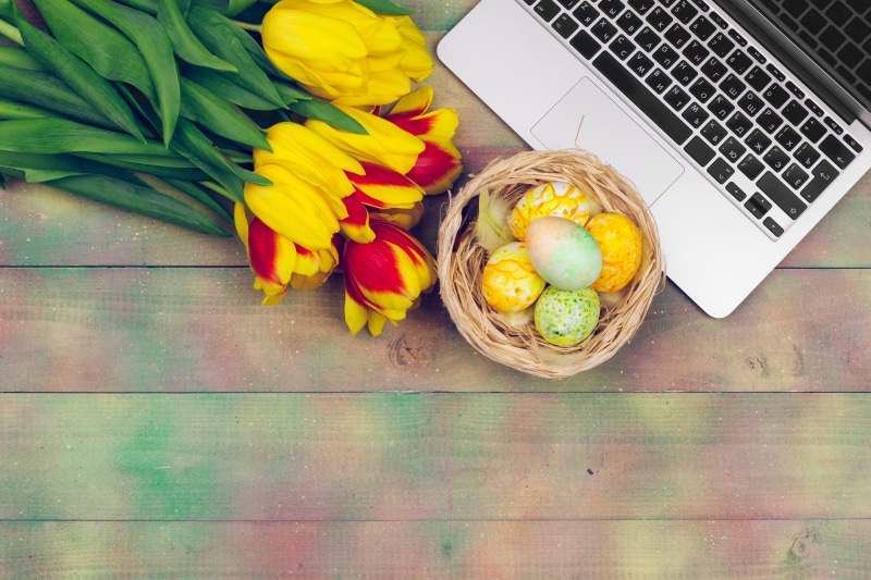 Easter eggs in a nest with tulips and a laptop