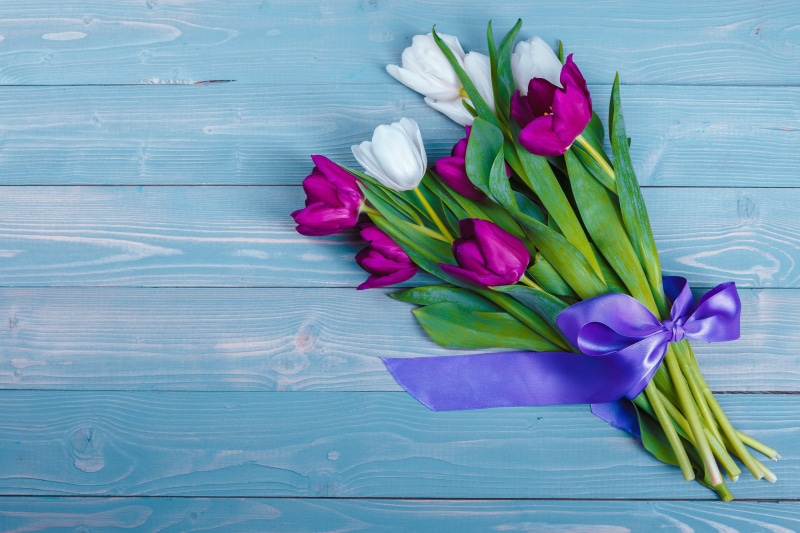 Bouquet of purple and white tulips with a ribbon on wood planks