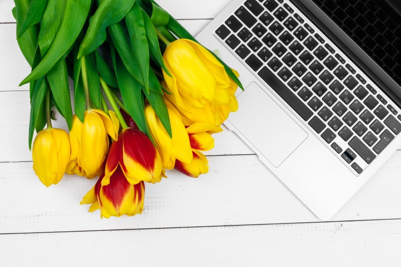 Yellow and Red Tulips with Laptop