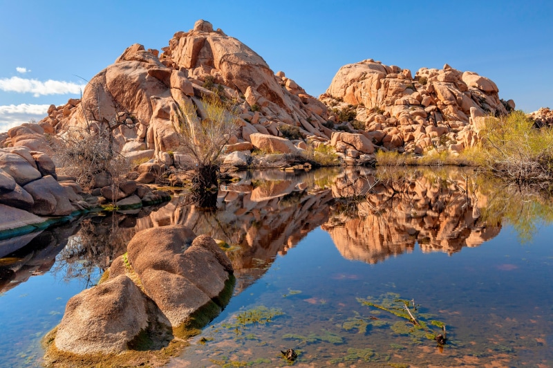 Joshua Tree National Park Lake Reflection