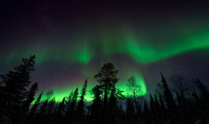 Aurora Borealis over Raattama, Finland with Trees
