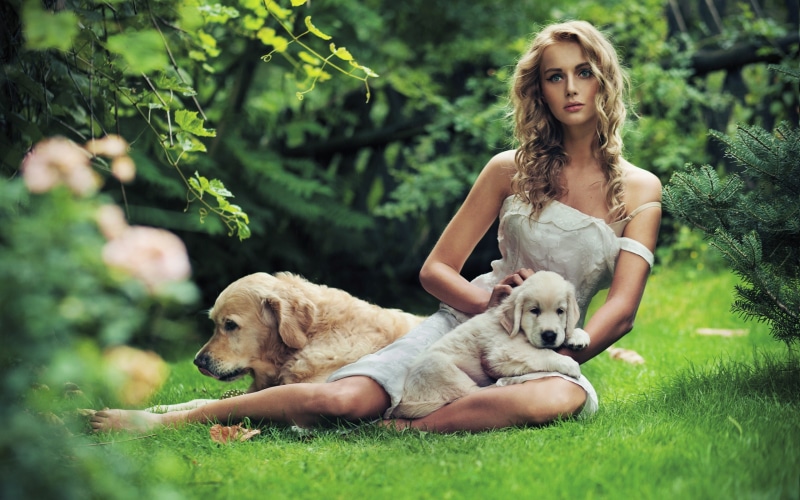 Woman with Golden Retriever dogs in a garden