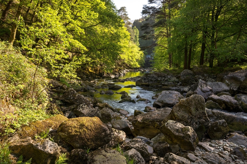 River flowing through a rocky forest in Wales, United Kingdom