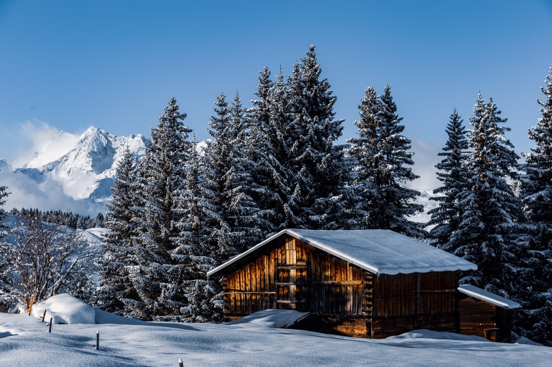 4K Winter Scene in Surselva, Switzerland with Mountains and Spruce Trees