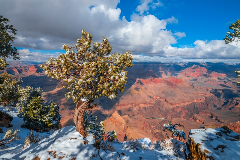 Grand Canyon National Park in Snow