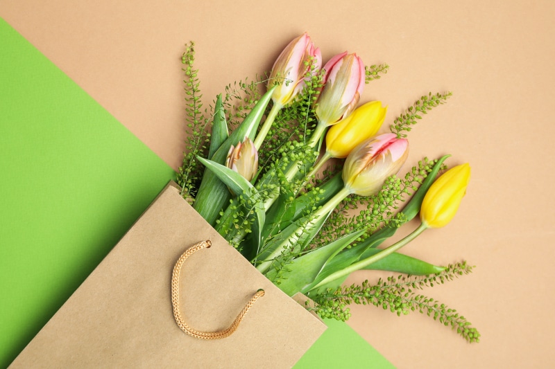 Tulips in a paper bag