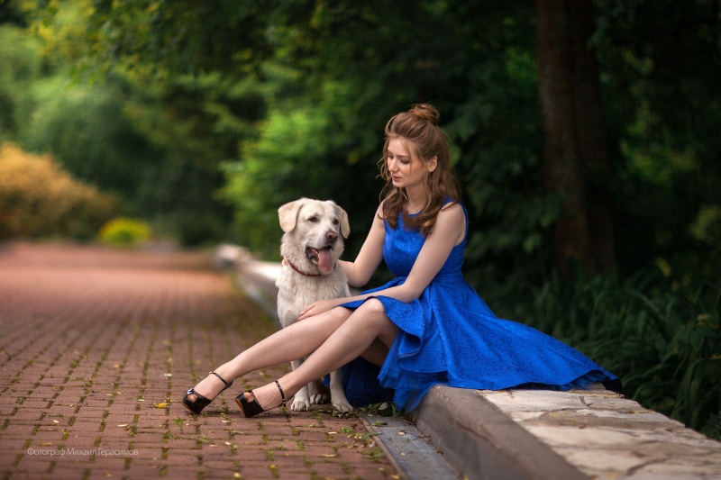 Woman in blue dress with Labrador Retriever dog