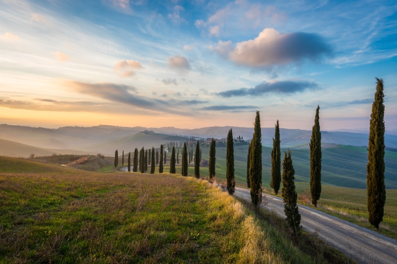 Tuscany Road with Cypress Trees at Sunrise