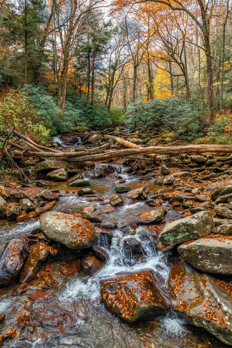 Stream flowing through Great Smoky Mountains National Park in Autumn