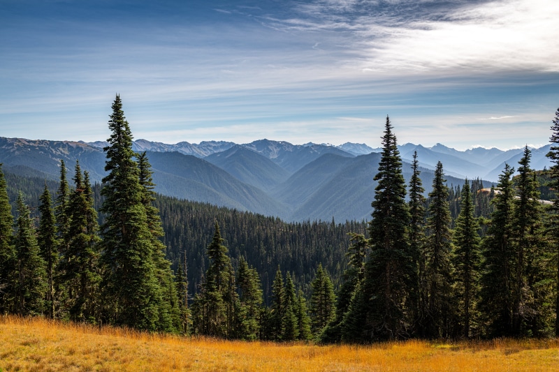 Olympic National Park Mountains Scenery