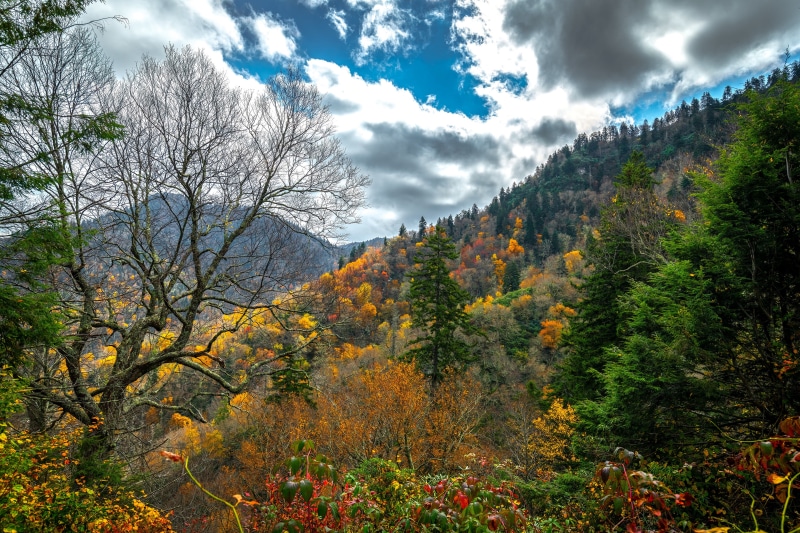 Great Smoky Mountains National Park Autumn Landscape