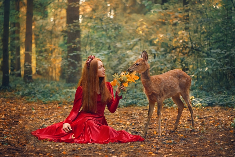 Redhead girl in red dress with deer in autumn forest