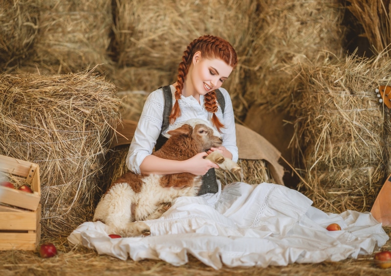 Girl with lamb in a barn with hay bales