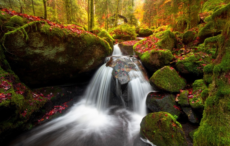 Waterfall in a mossy forest in Germany