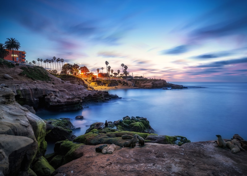 Seals on rocks at La Jolla, California coast at sunset
