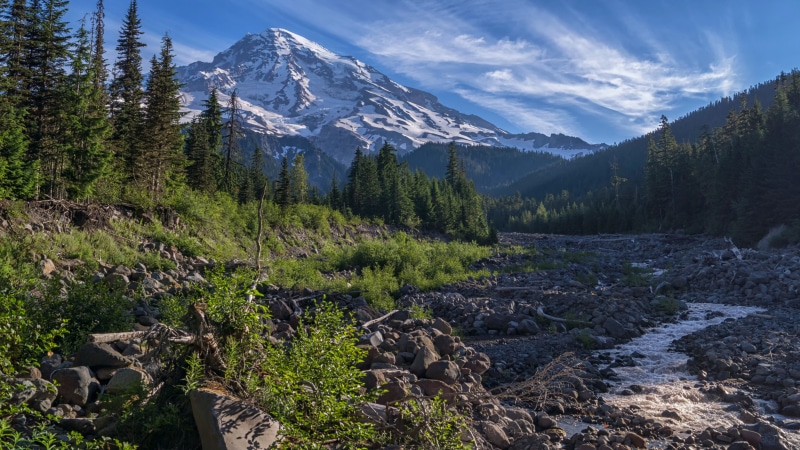 Mount Rainier National Park with Stream and Forest
