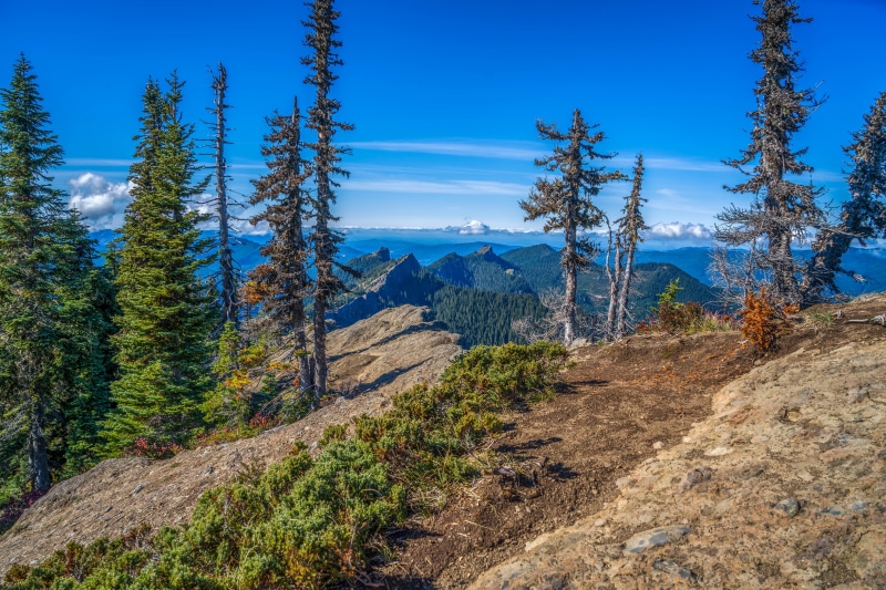 High Rock Peak Mountains Scenery with Trees in Washington USA
