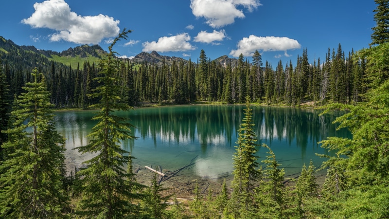 Lake Reflection in Mount Rainier National Park, USA