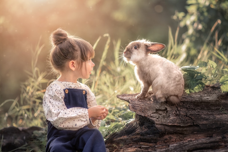 Girl and rabbit in a sunlit forest