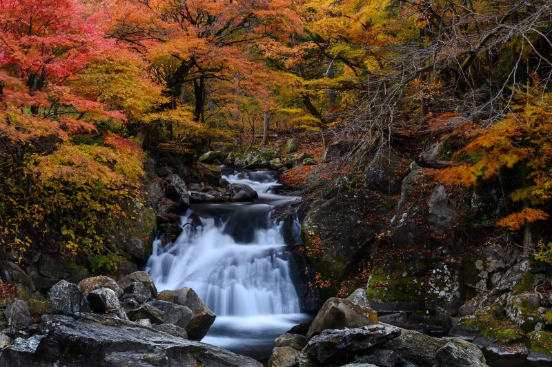Autumn waterfall with colorful trees and rocks