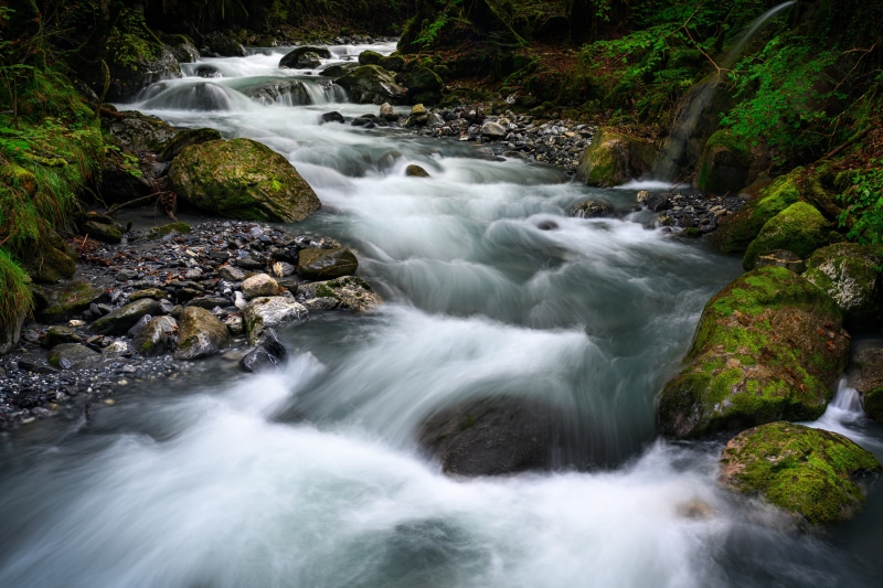 Stream flowing over mossy stones in Gryon, Switzerland