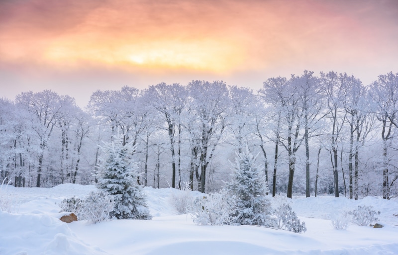 Winter sunrise over Laurel Mountain State Park, Pennsylvania