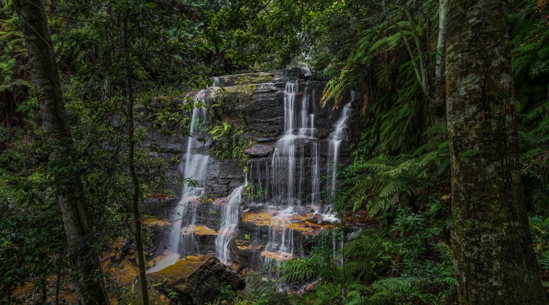 Waterfall in Blue Mountains National Park, Australia