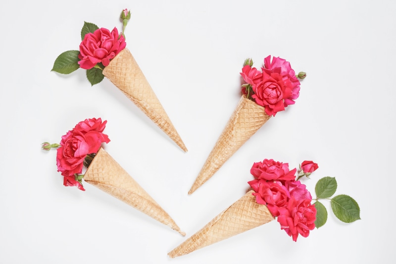Four ice cream cones with pink roses on a white background