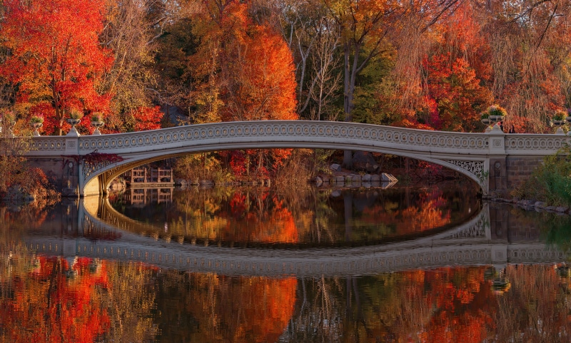 Bow Bridge in Central Park, New York City during Autumn