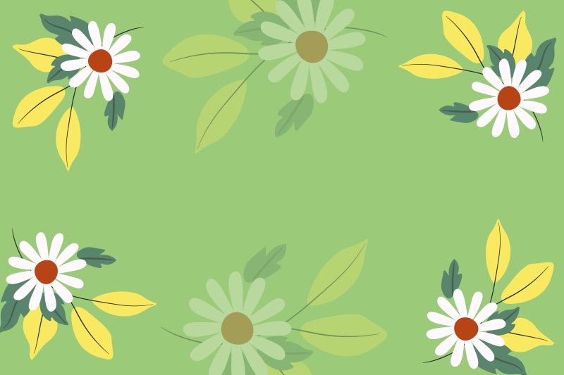 Camomiles on a colored background template