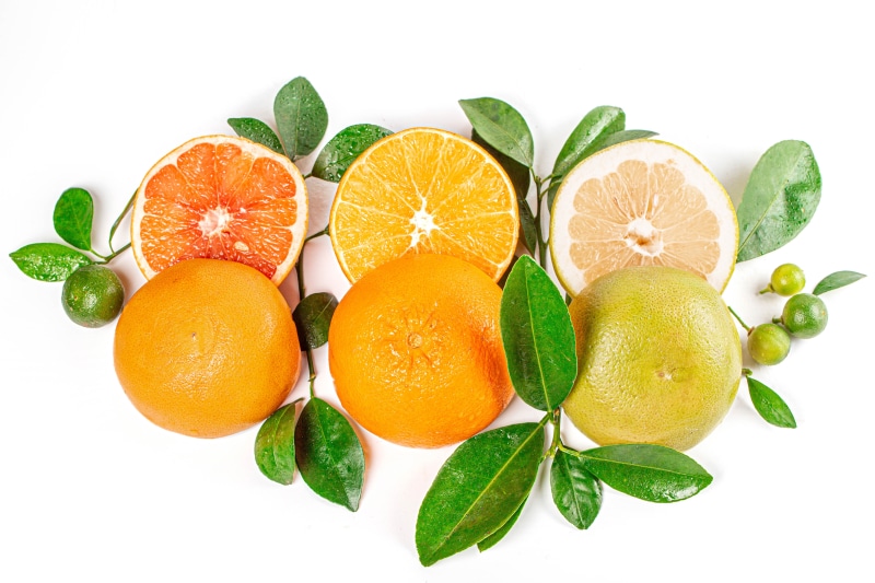 Citrus fruits with leaves on white background