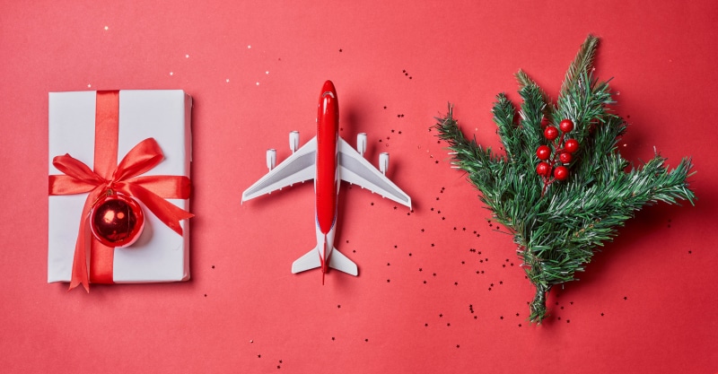 Christmas gift, airplane, and tree branch with berries