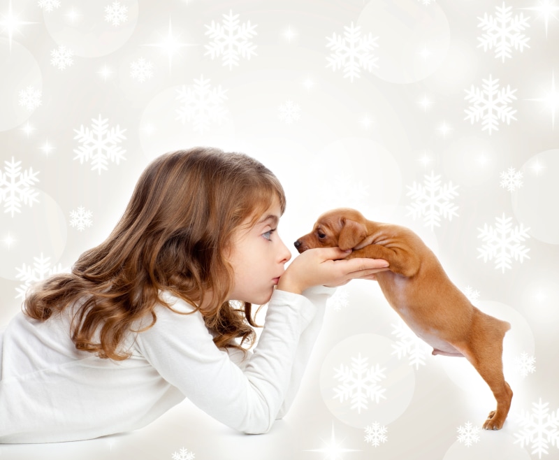 Girl kissing a puppy with snowflakes