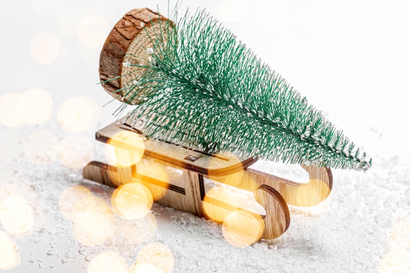 Miniature Christmas tree on a wooden sled in snow