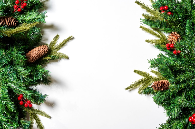 Christmas garland with pine cones and berries on white background