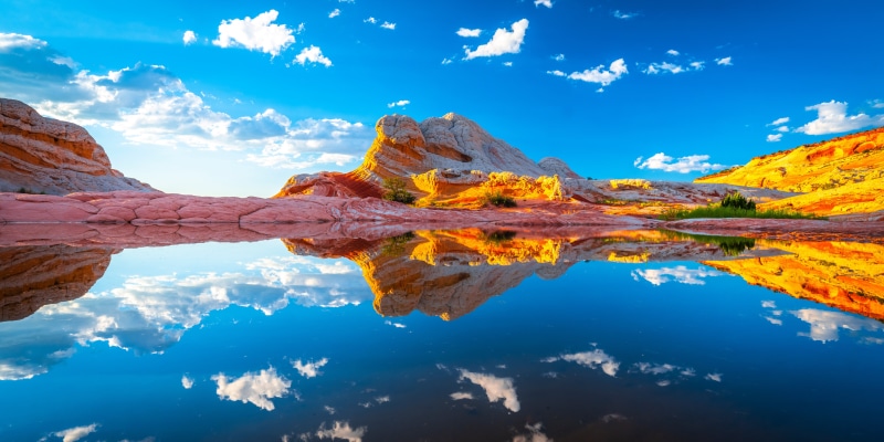 White Pocket, USA, with reflection