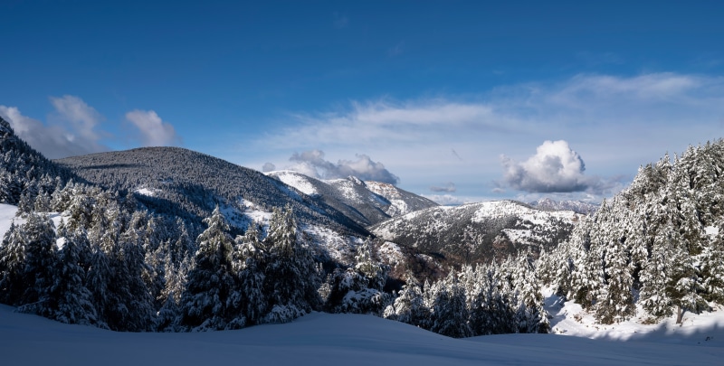 Snow-covered mountains and pine trees in Catalonia, Spain