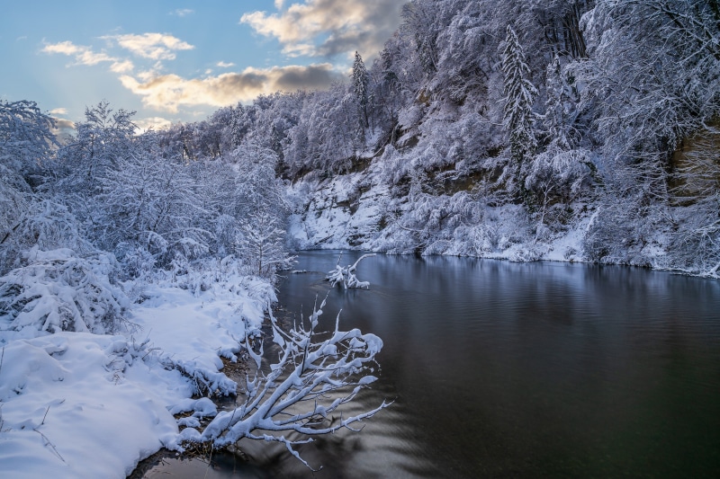 Snow-covered forest along a river in winter
