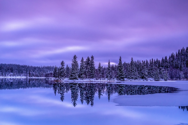 Winter forest and lake in Hemsedal, Norway