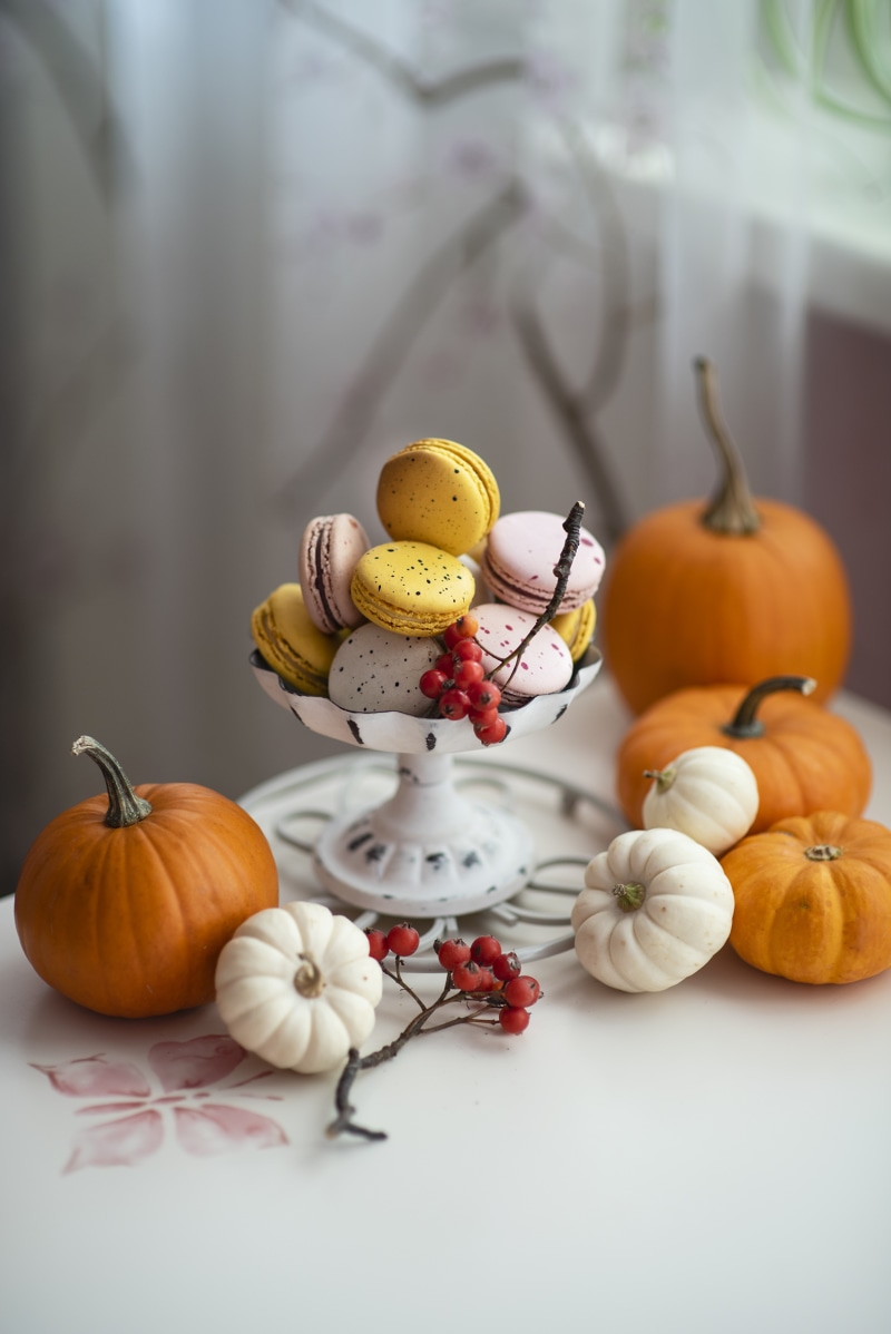 Pumpkins and Macarons with Rose Hips