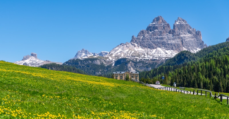 Dolomites Mountains in Italy with Yellow Flowers and a Building