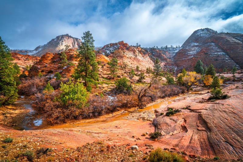 Zion National Park Landscape with Red Rocks and Trees