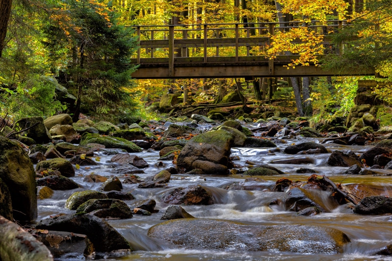 Wooden bridge over a rocky stream in autumn forest